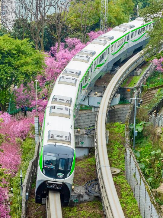 开往春天的列车再度出发🚝2.22实拍