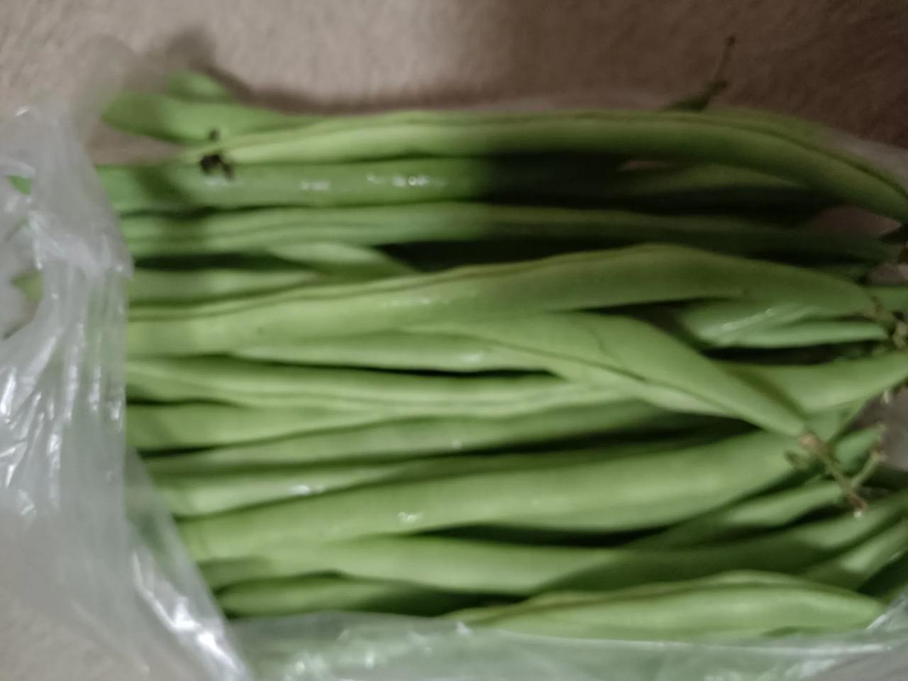 物质上的给予，家还给了我们精神上的支持。

父母的教诲，兄弟姐妹的陪伴，让我们在