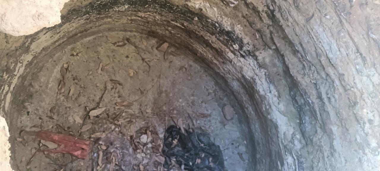 我第一个不同意！
 农村老井凭啥要填？

回村看到村头那口老井被议论要填，我当场