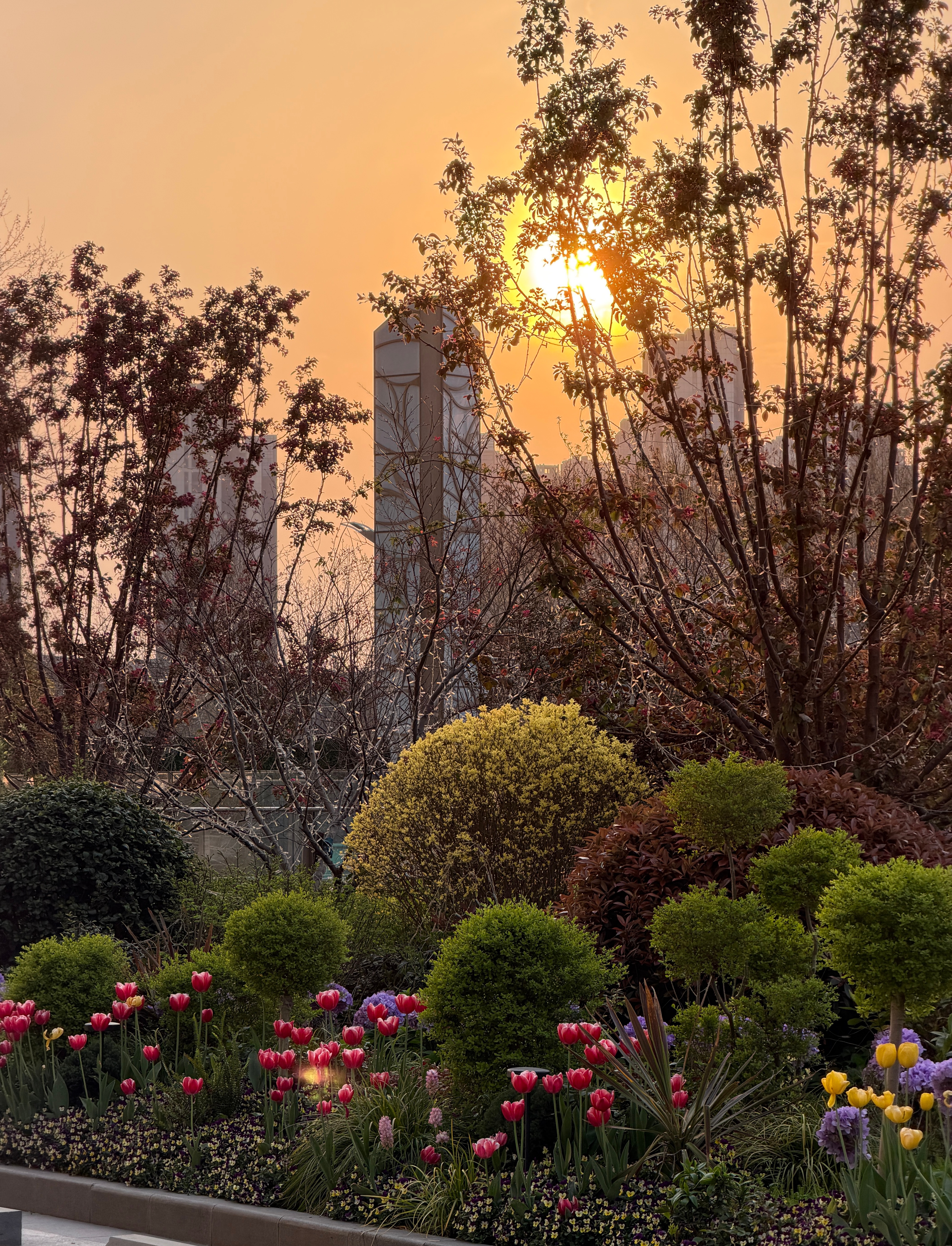 花都开好了应该快乐一点 