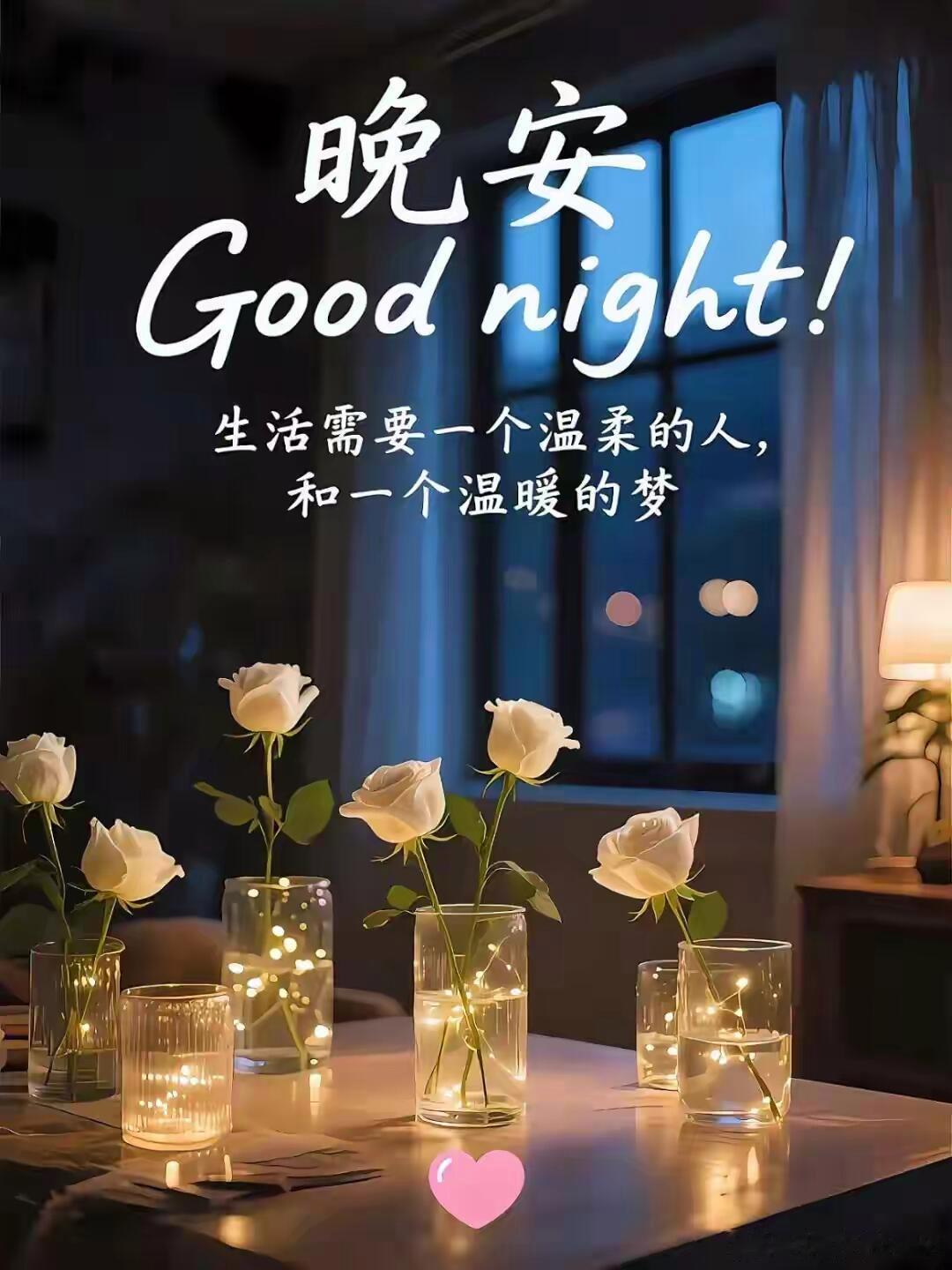 晚安 夜色温柔落幕，人间归于静谧。忙碌的一天终于画上句号，不必纠结今日的遗憾，也