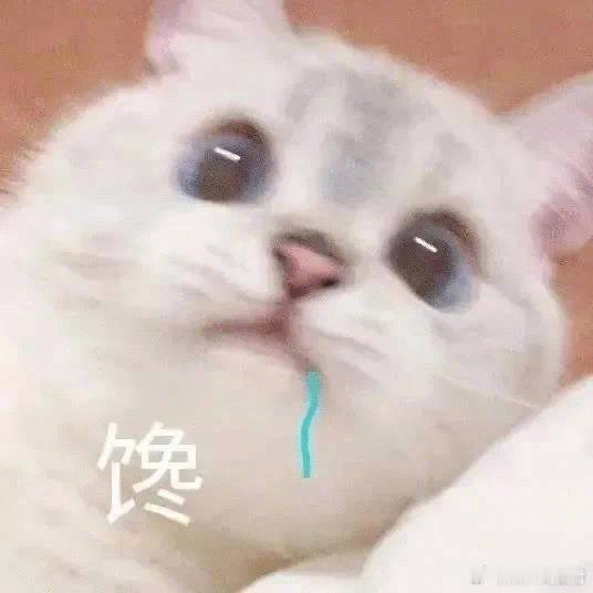 一条关于做菜窍门的小合集1. 切洋葱时怎样才不刺激眼睛，只要你在切洋葱前把刀放在