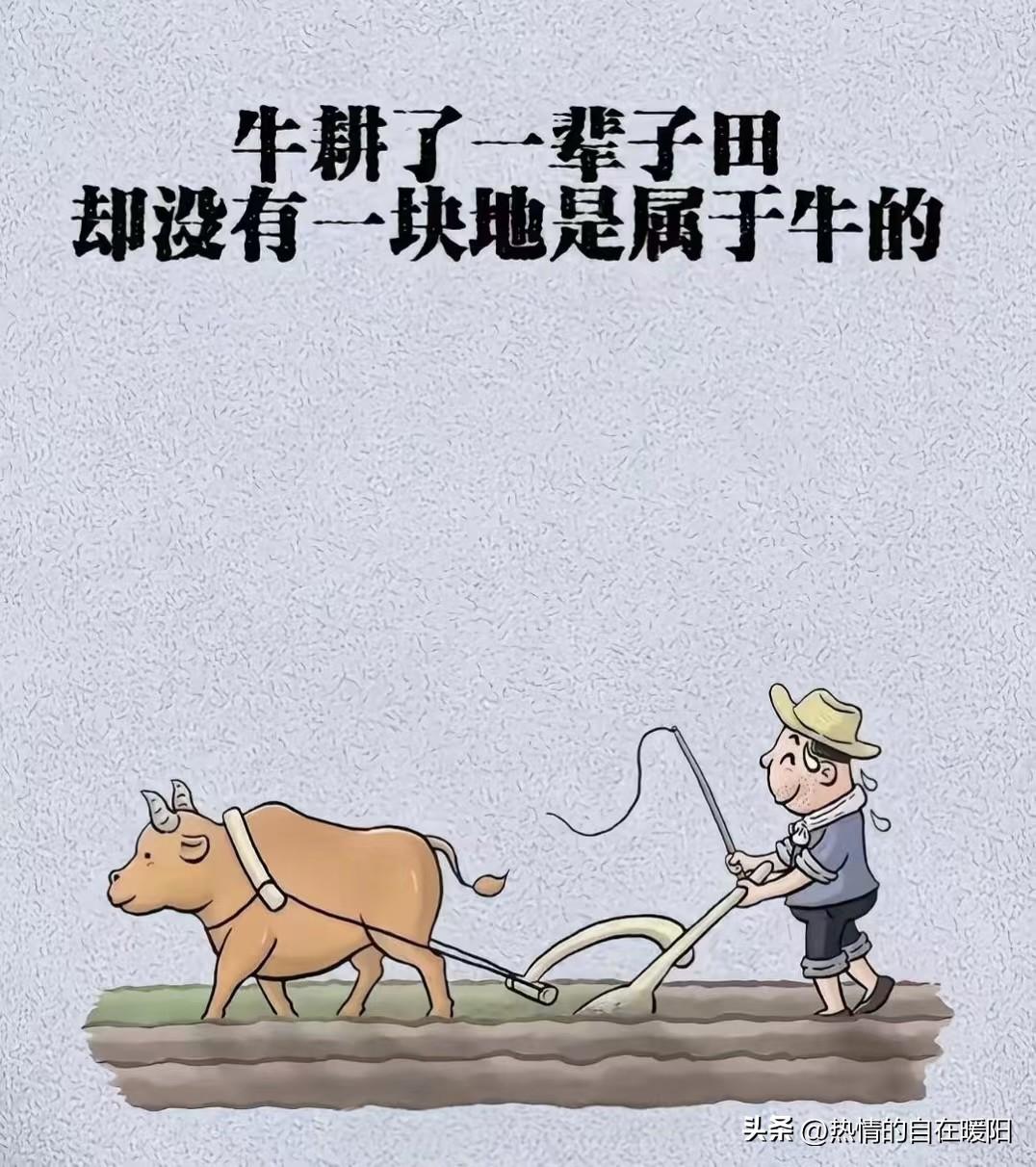 一辈子累死累活地干活，连个住的地方都没有。这世上最糟心的事儿，就是那些一直默默付