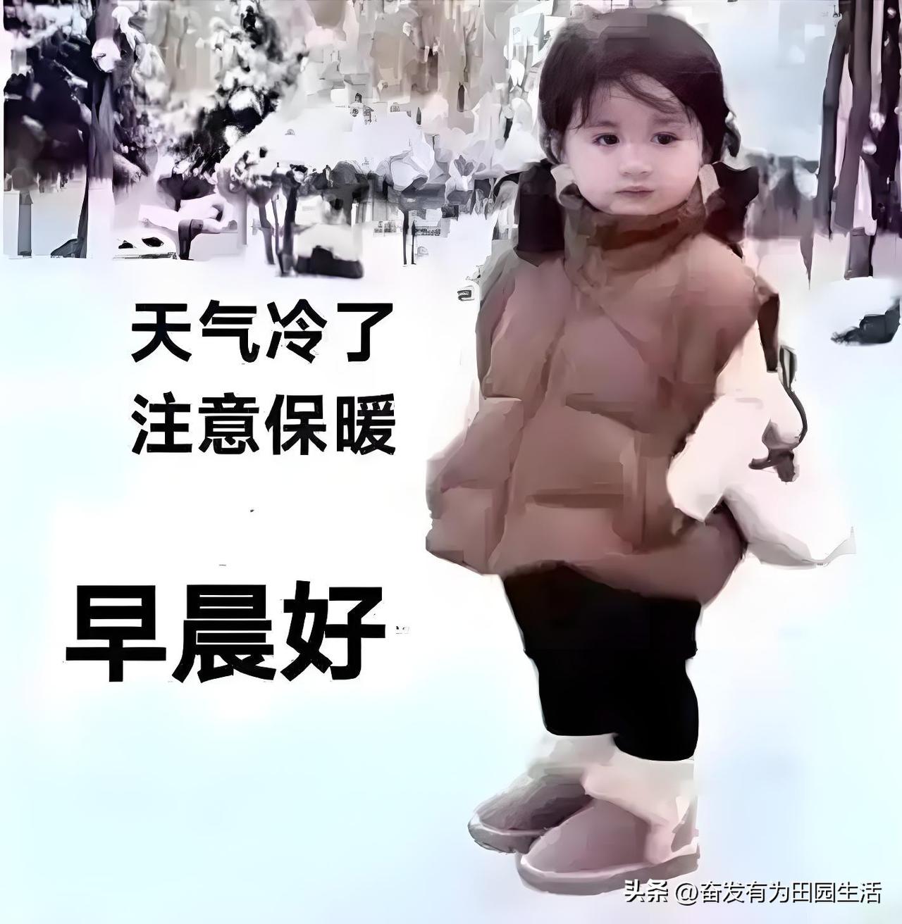 分享早安的美好话语早安吉祥，天气冷了，注意保暖。[招财进宝][招财进宝][招财进