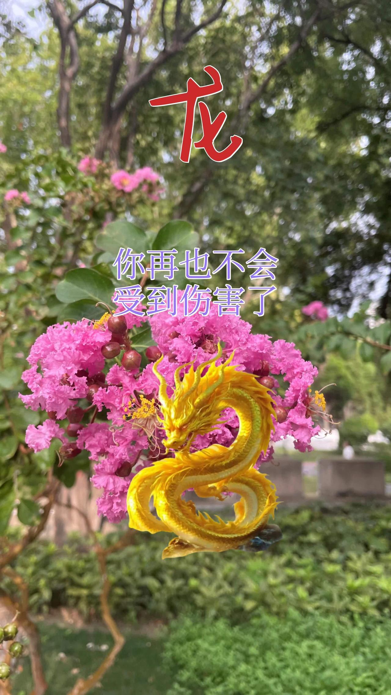 76年的龙 88年的龙 00年属龙