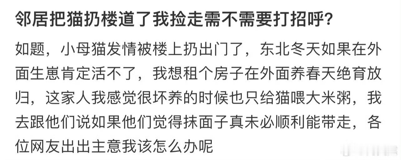 邻居把猫扔楼道我捡走要打招呼吗  邻居把猫扔楼道我捡走要打招呼 