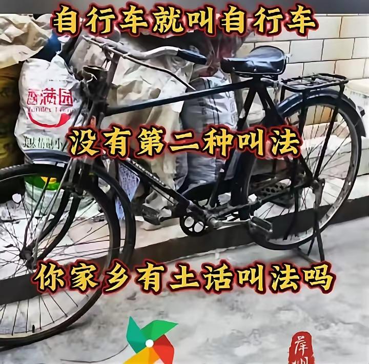 我敢肯定，自行车就叫自行车，应该没有第二种叫法，更没有土话。