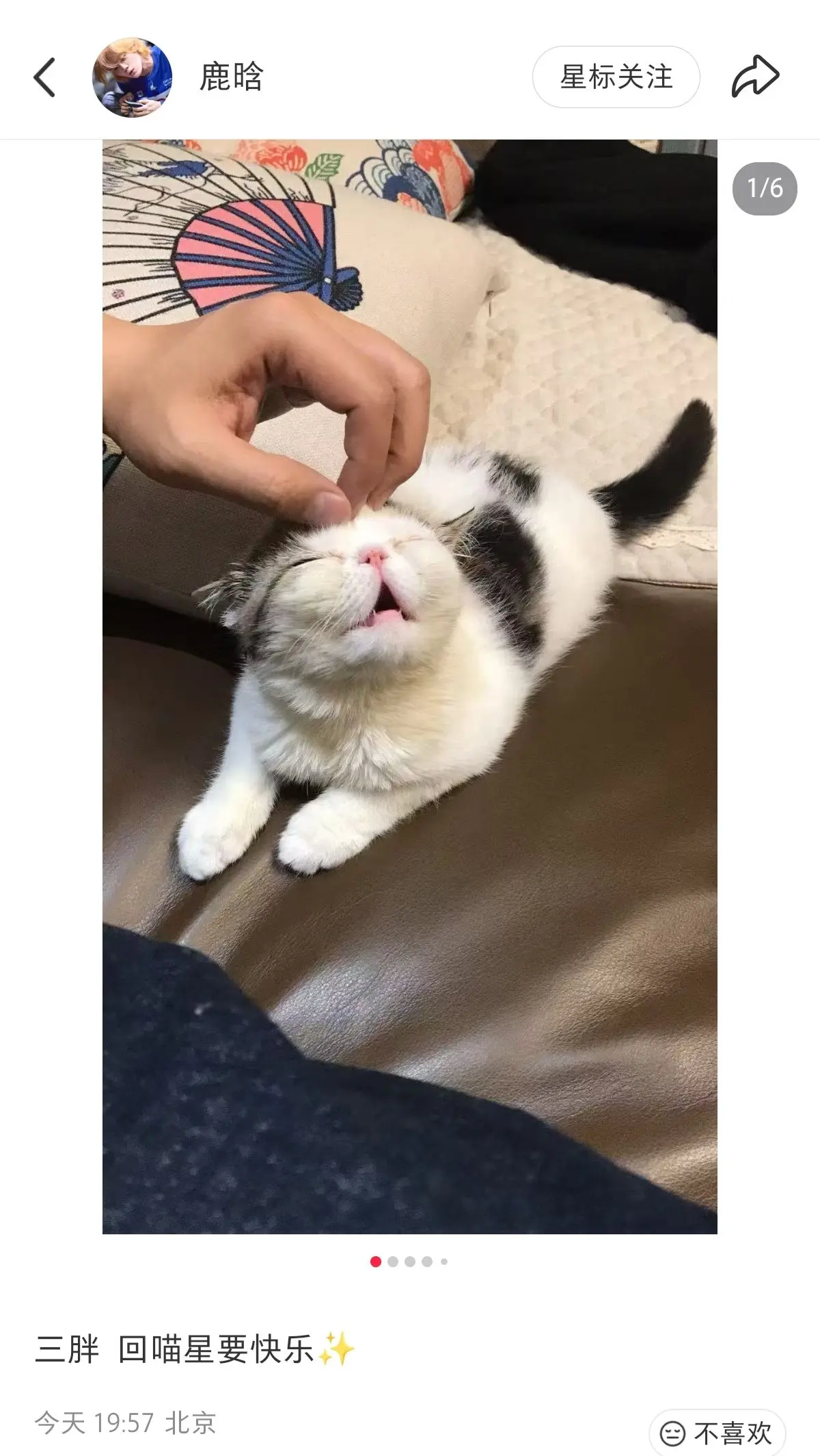 太突然了 宝宝也希望你不要太难过😭😭