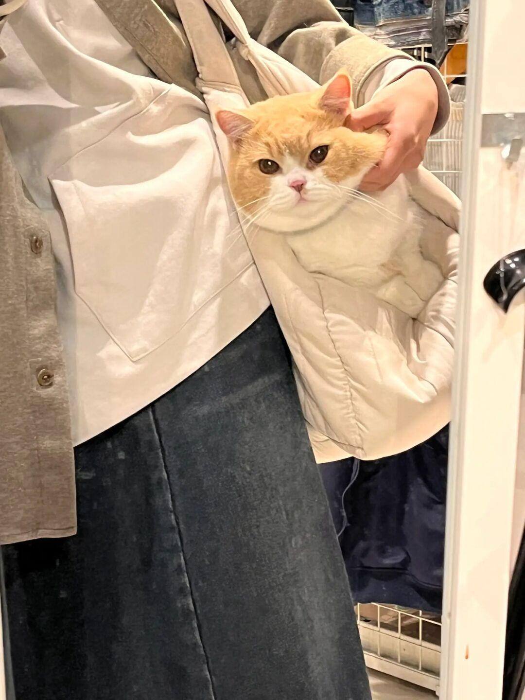 让我看看是谁没有最新小猫挂饰