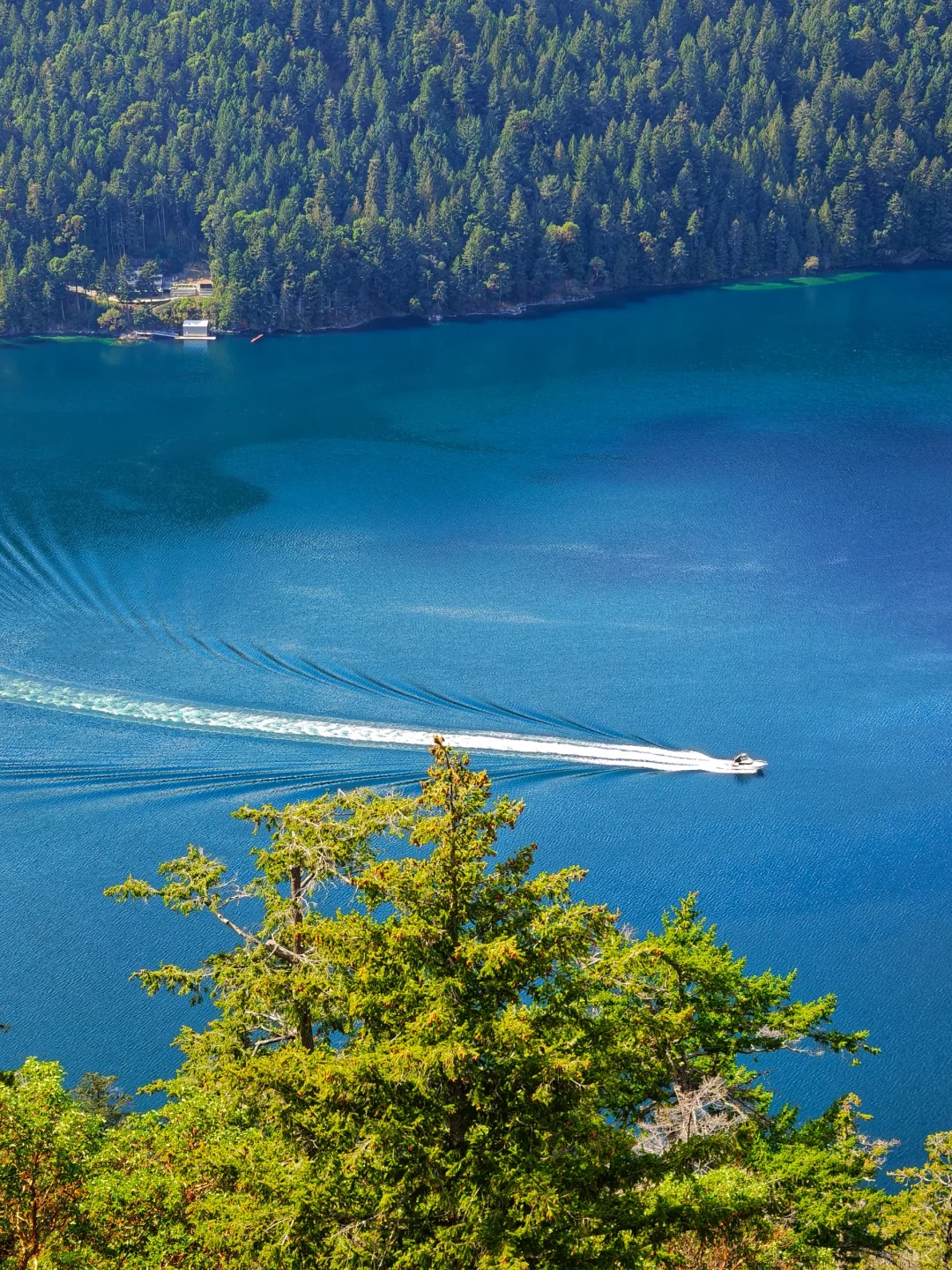 有人说这里有些像喀纳斯