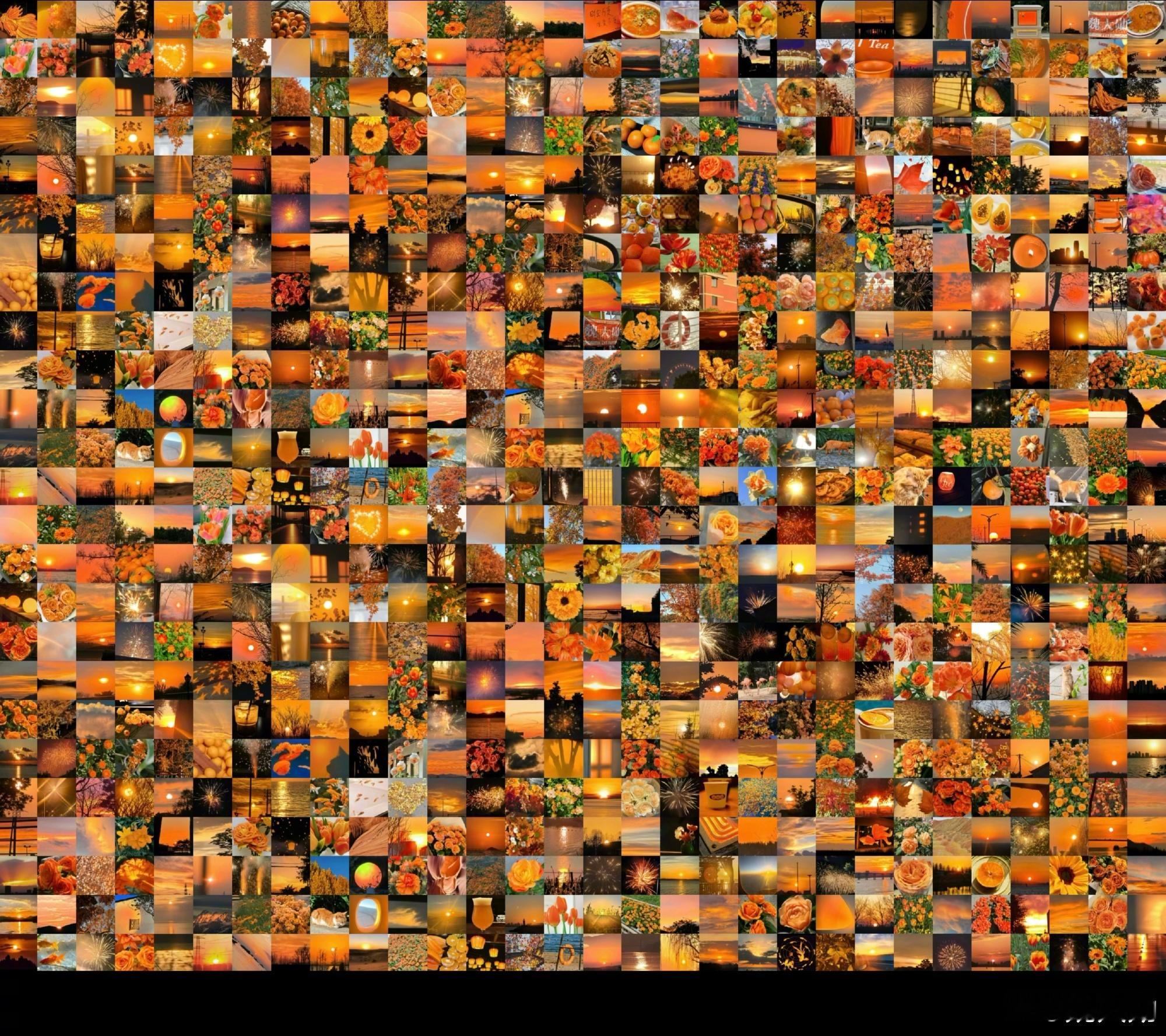 这个魏大勋咋这么宠小妖艳……生日当天发了750张粉丝发的橙色应援色照片🥹🥹魏