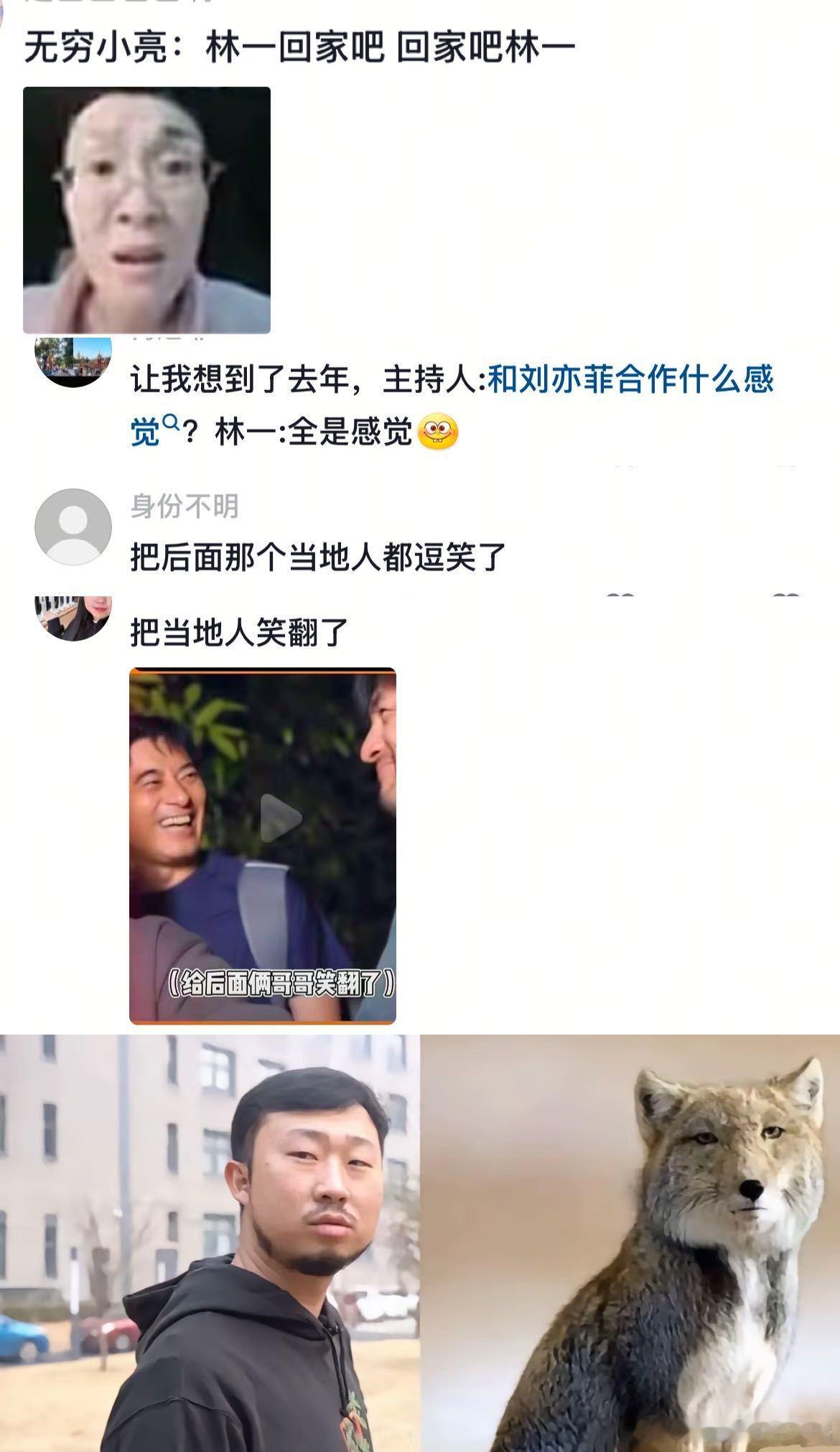 胡歌的冷笑话碰上了林一的抽象    认真观察溪蟹：“它不怕人。”  “它可能还不