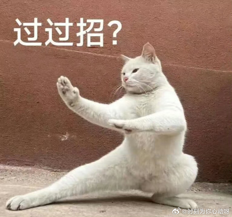 李连杰说成龙甄子丹吴京不可复制说得太对了！功夫演员的壁垒从来不是招式，是个人风格