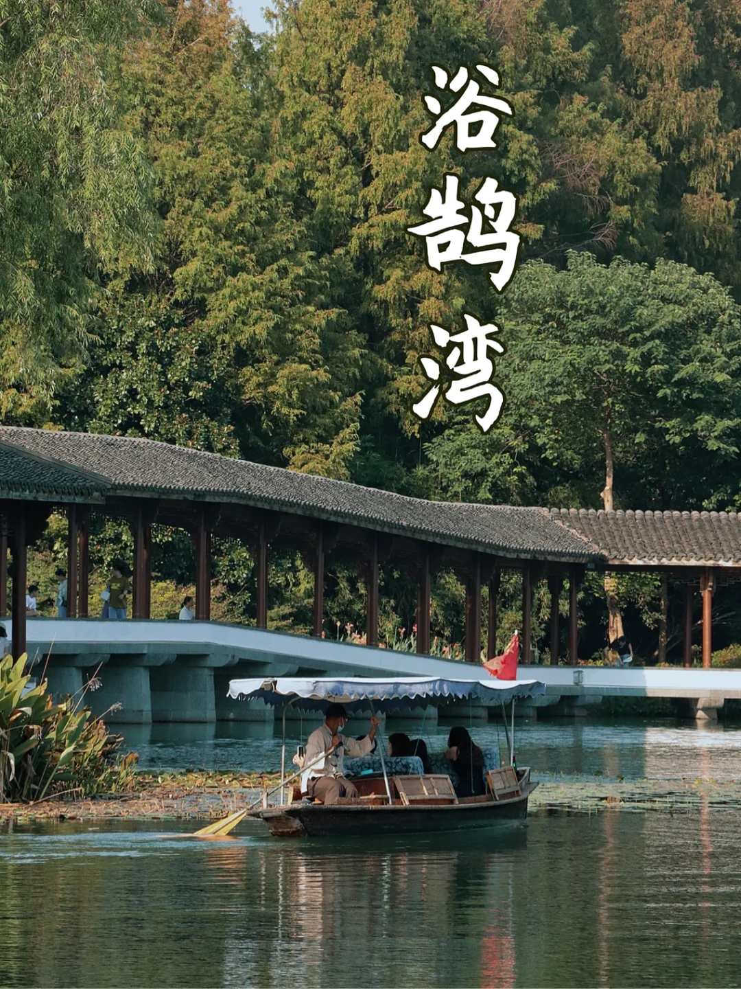 杭州本地人超爱去的景点—浴鹄湾🦢