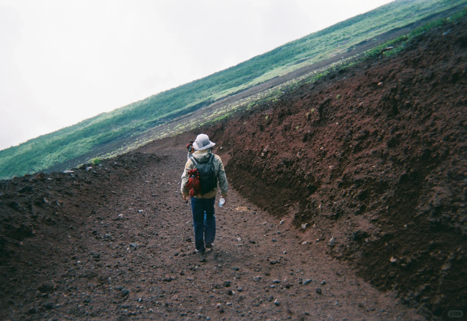 我最喜歡的一張膠片