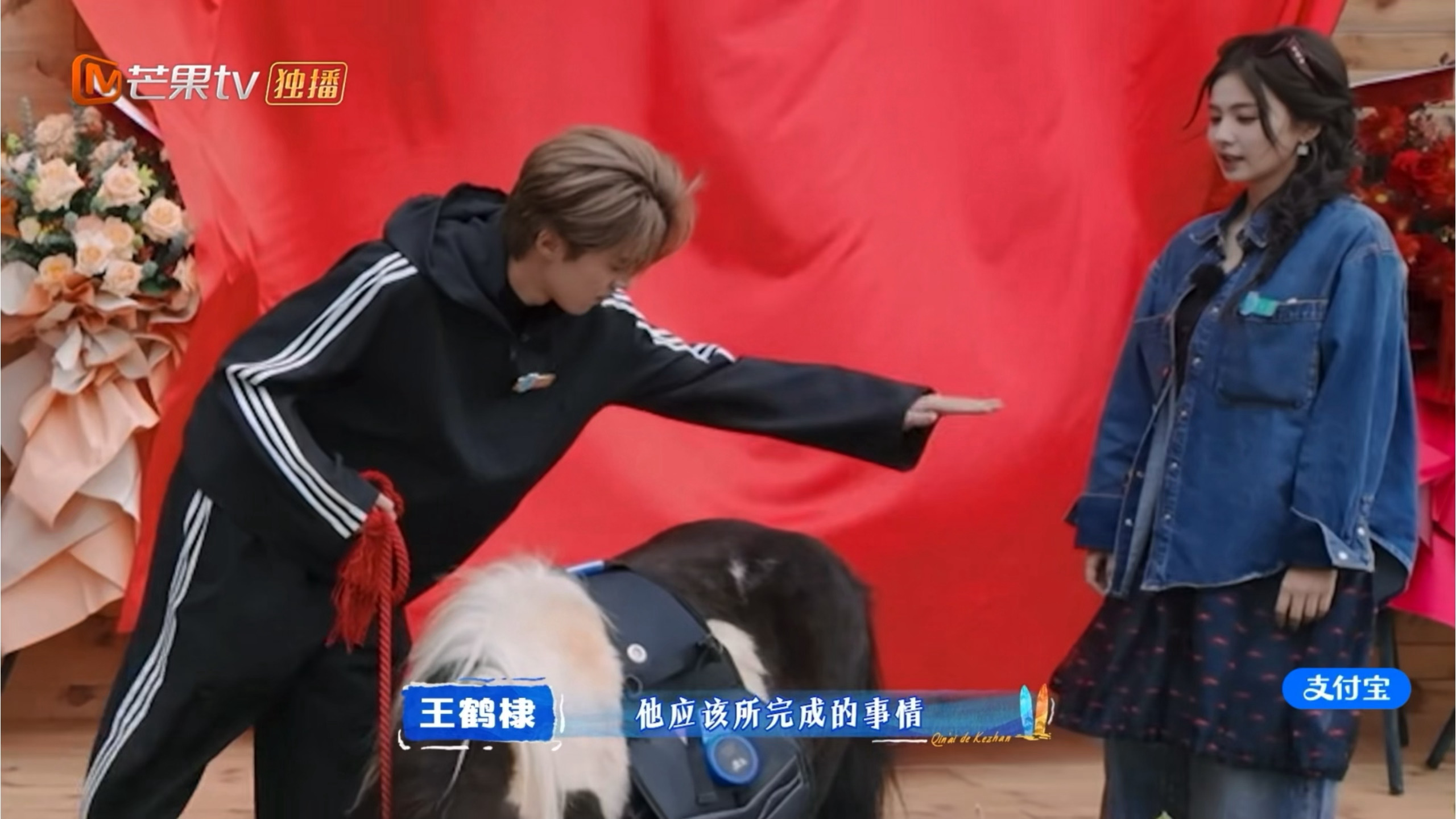 马年拍马屁哈哈哈哈哈哈王鹤棣亲爱的客栈2026