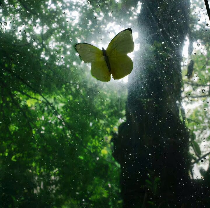 ꙳.യ🍀•無盡夏🫧°.⋅ 