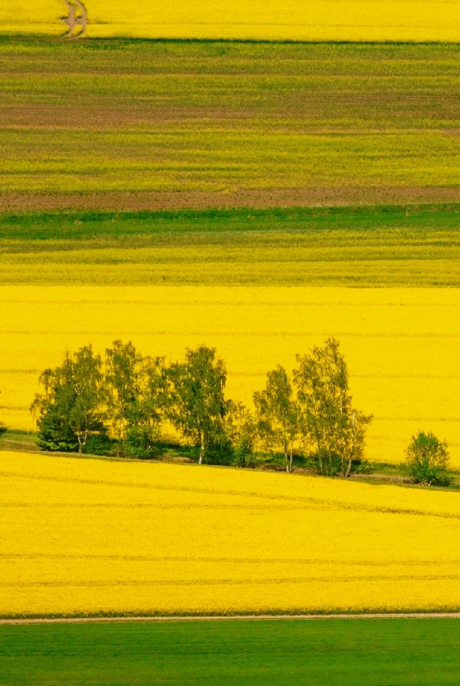 曾仕强老先生说：一个家庭命里的财都有定数的想要求财，不义之财易得难守临时抱佛教没