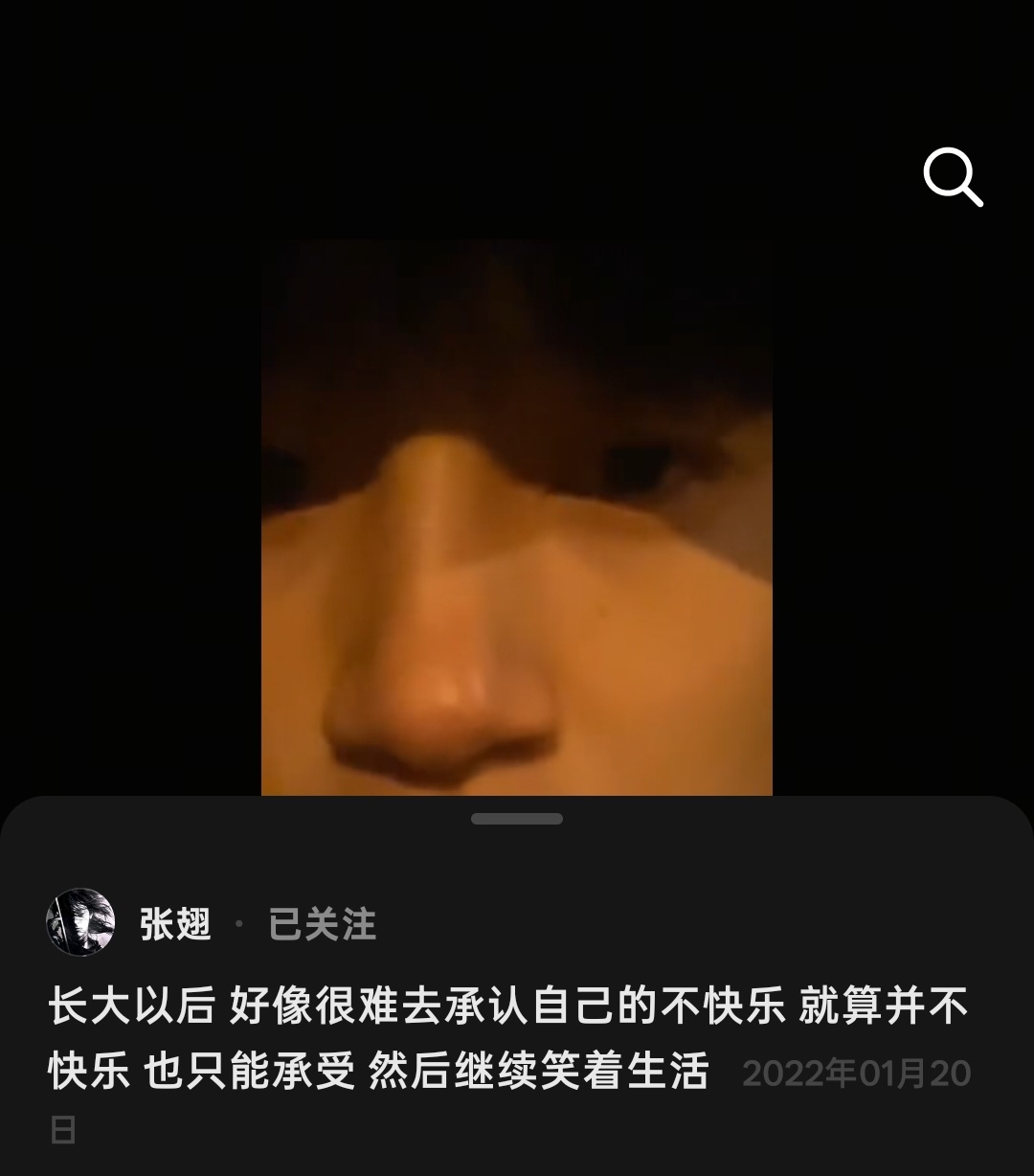 忧郁鹅 