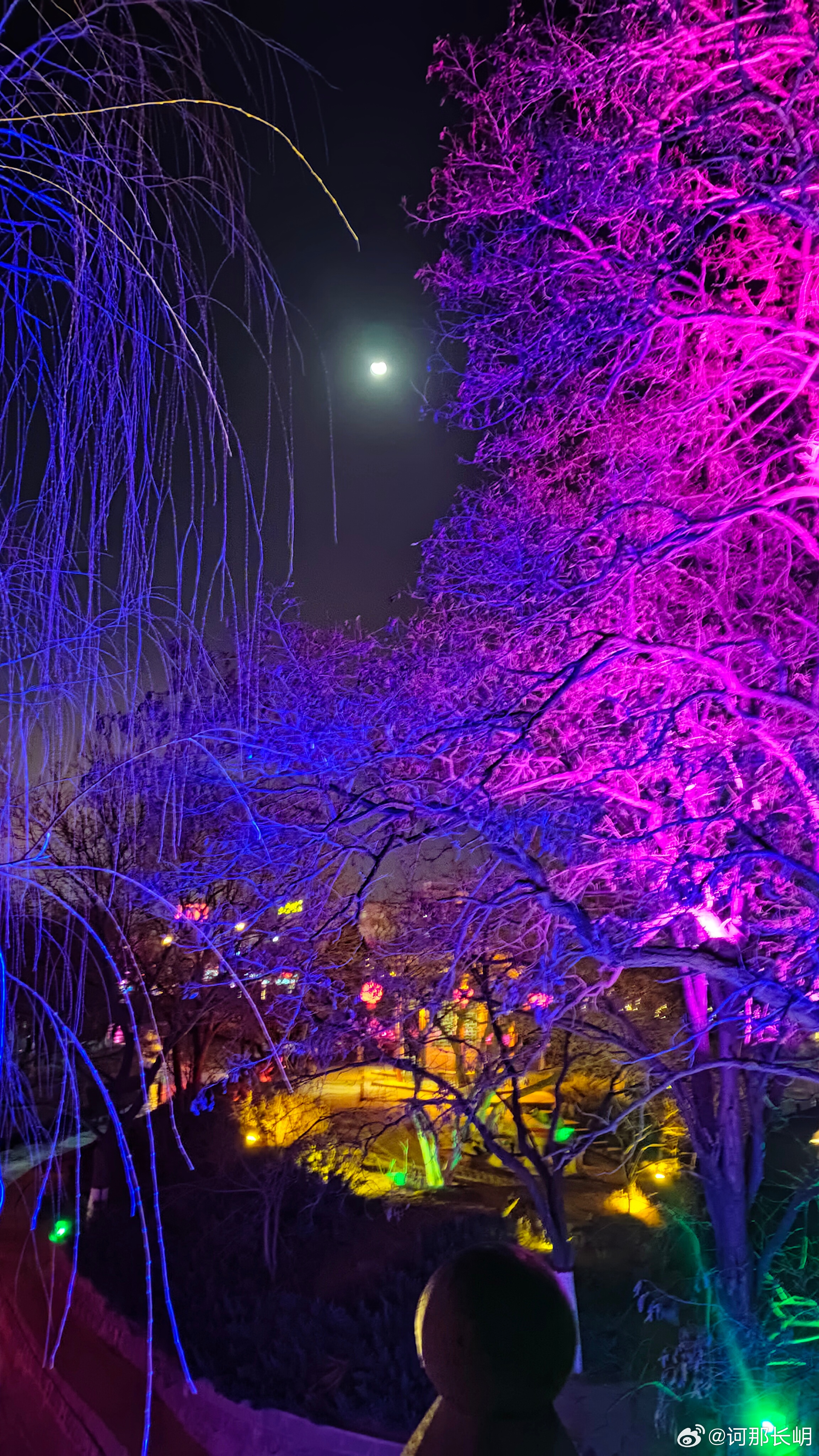 夜色把世界调成霓虹色，月光是最温柔的滤镜，把所有烦恼都滤成了温柔的光斑。 