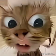 有的人有钱了，从农村出去，自己就变成城市人了。就把自己祖宗和自己是农村人忘了！农