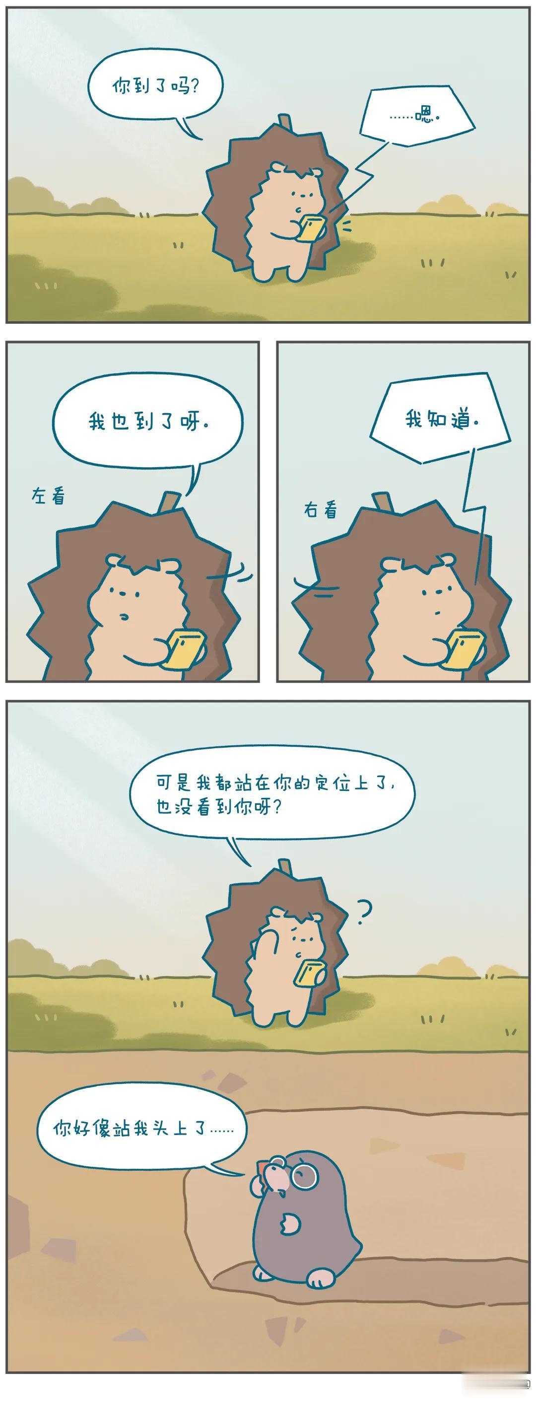 我怎么没看到你