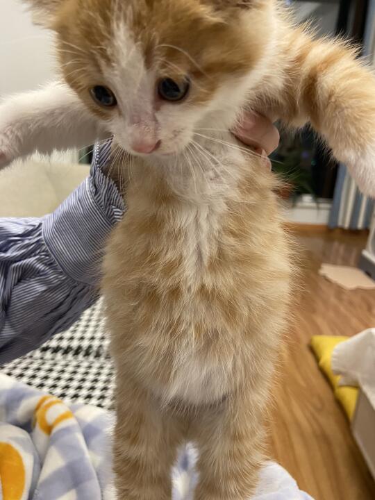 左滑看我长大
