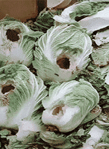 这是遇到灵异事件了吧