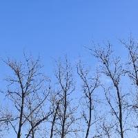 我的今日状态：🏝️旅行度假
我这里的天气：☀️晴天