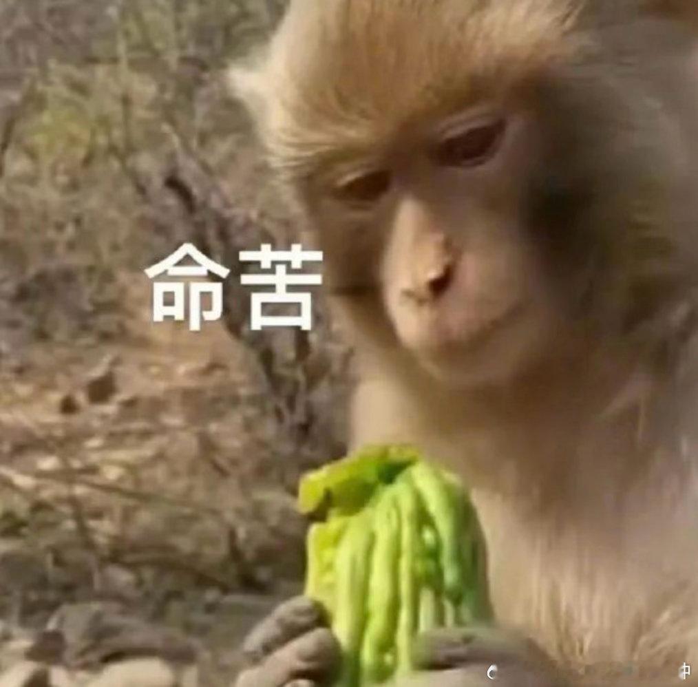 有没有什么办法能解决我直接退休，我的每天都是一心想要退休… 