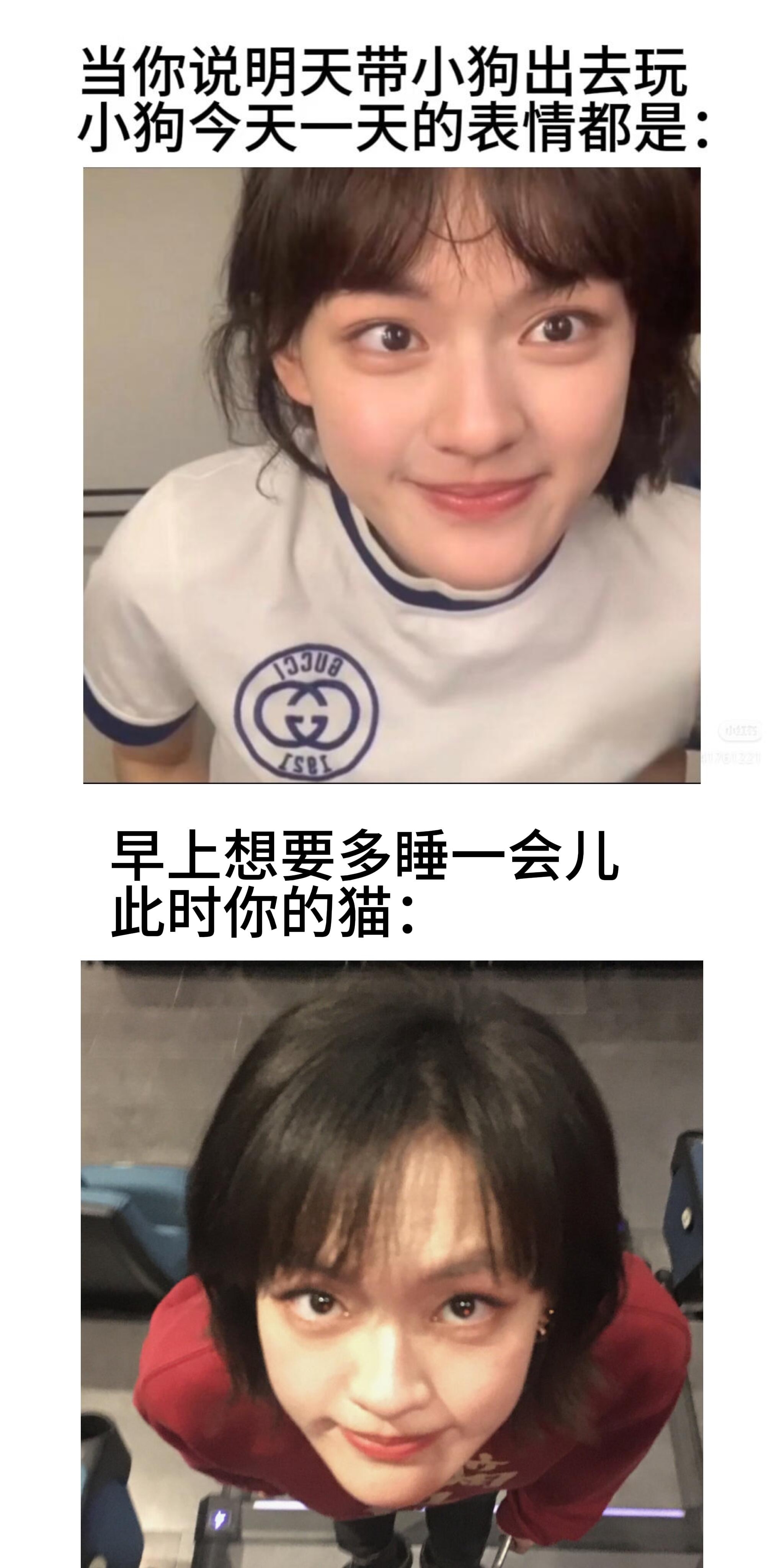 我不会放弃收藏任何一张文淇的meme图文淇的meme图