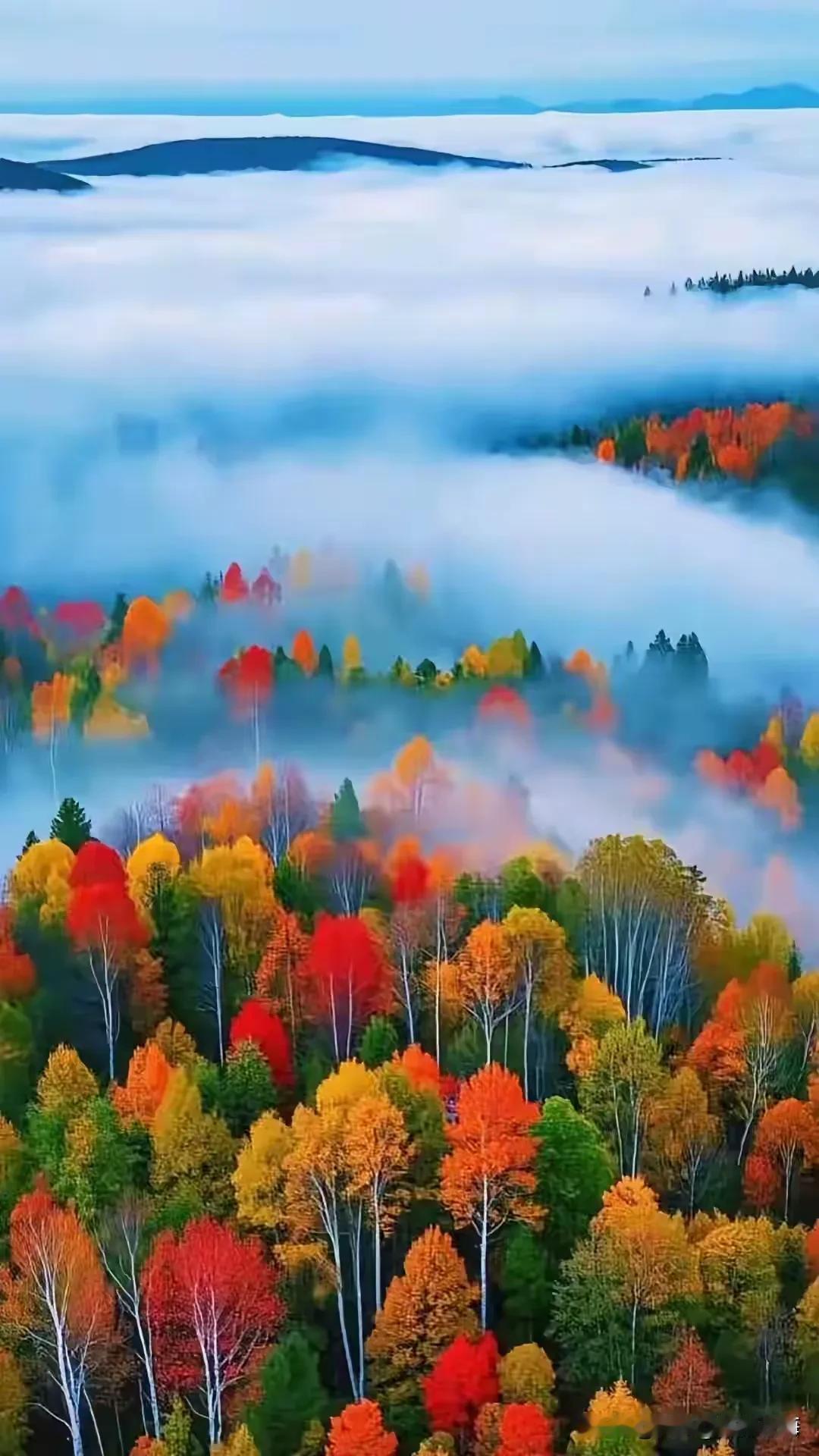 七律·丘山绘景
史皇挥笔染丹黄，
幻把丘山作画堂。
千树红霞凝国色，
一川翠雾酿