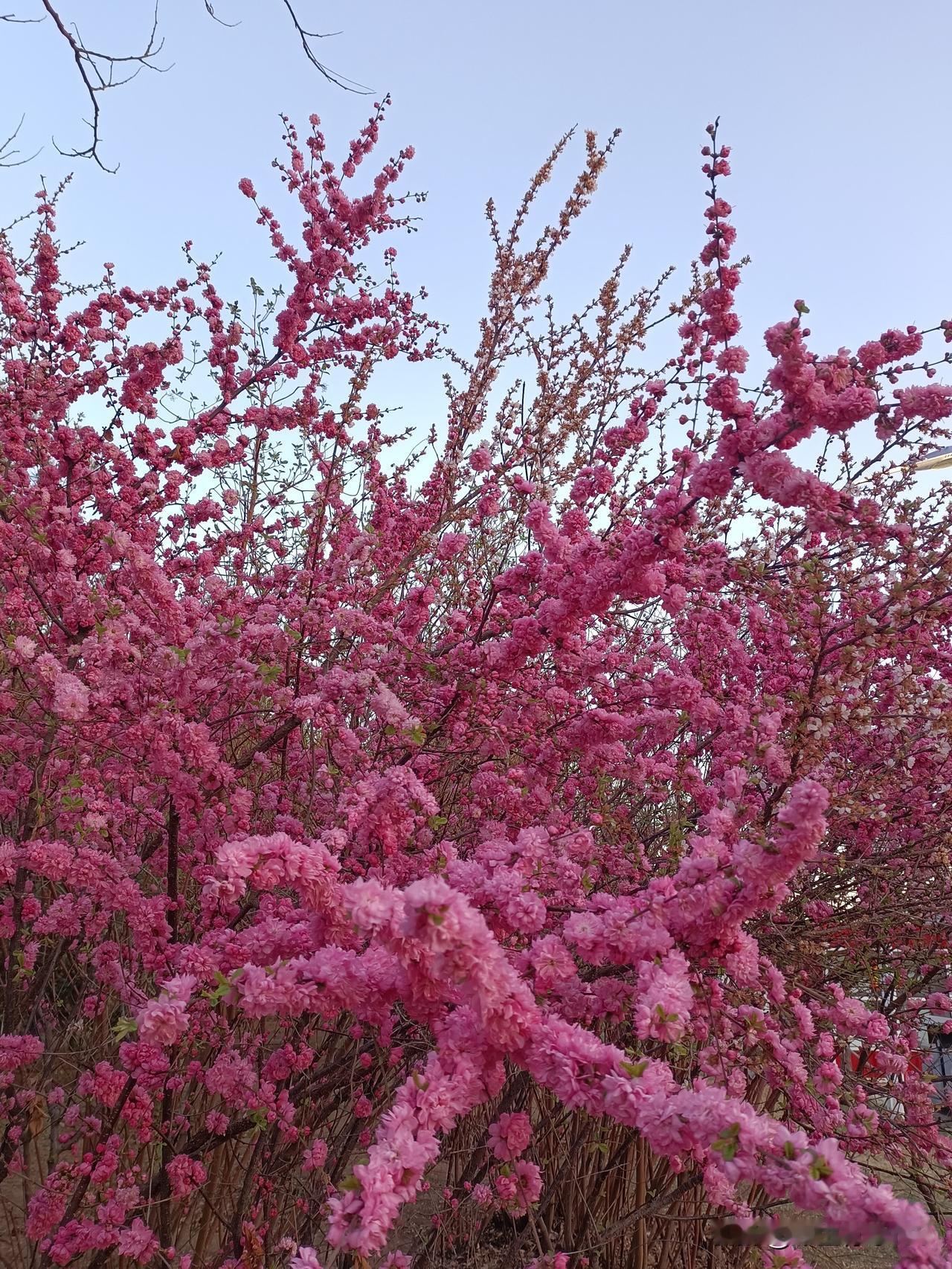 心若向阳，处处皆是希望；人若温暖，所见皆是美好。平安是福气，健康是财富，朋友们，