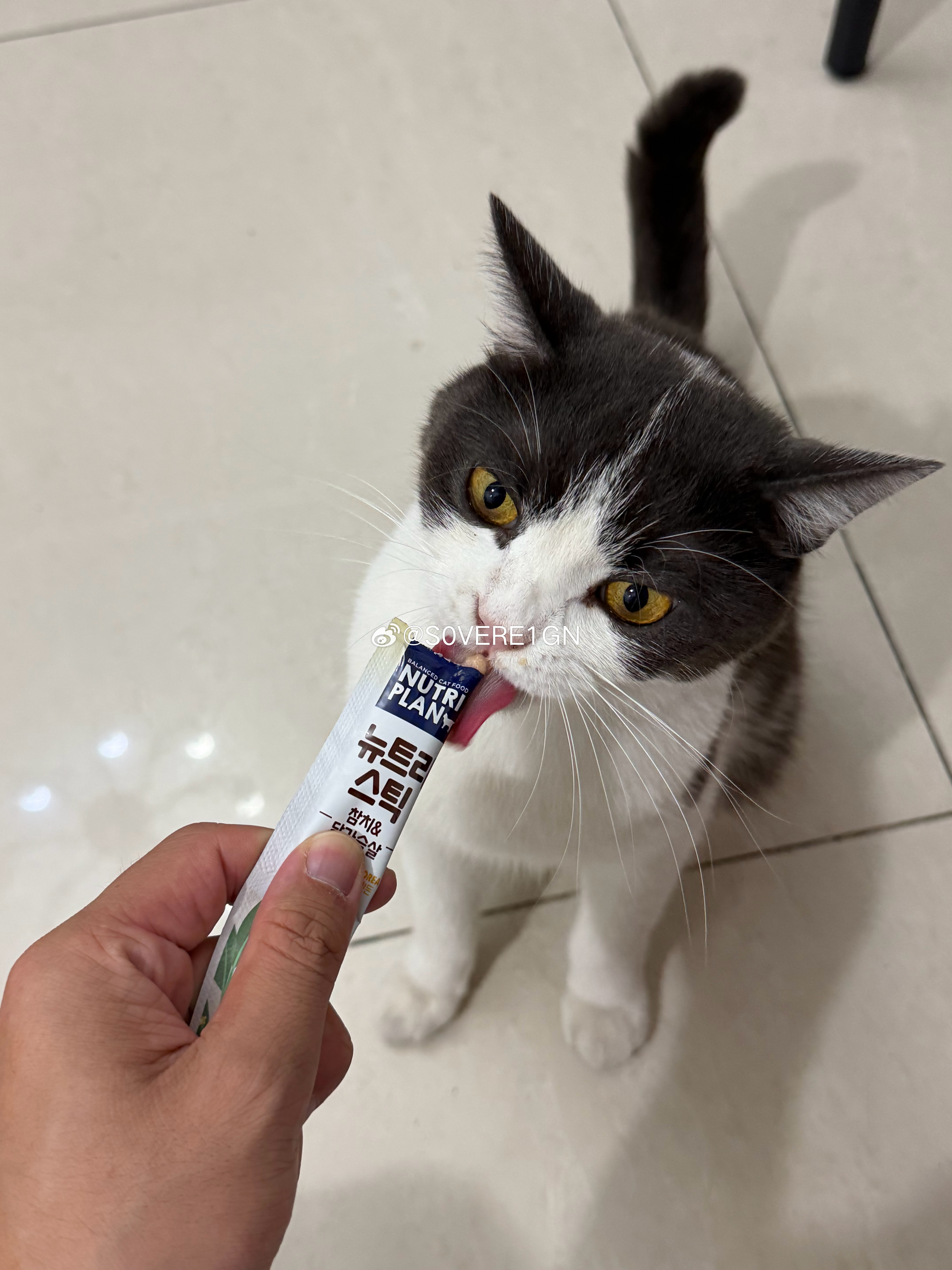 到家第一件事 喊咪咪🐈 