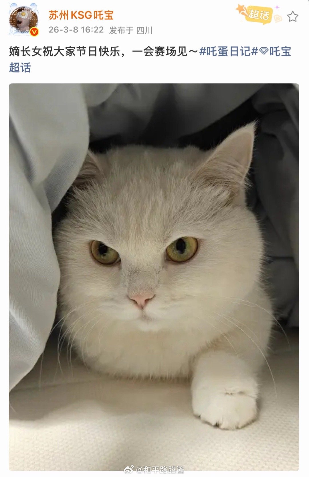 嫡长女闪亮登场 大家节日快乐今天比赛也要加油呀小吒电竞点播台 pel春季赛第三周