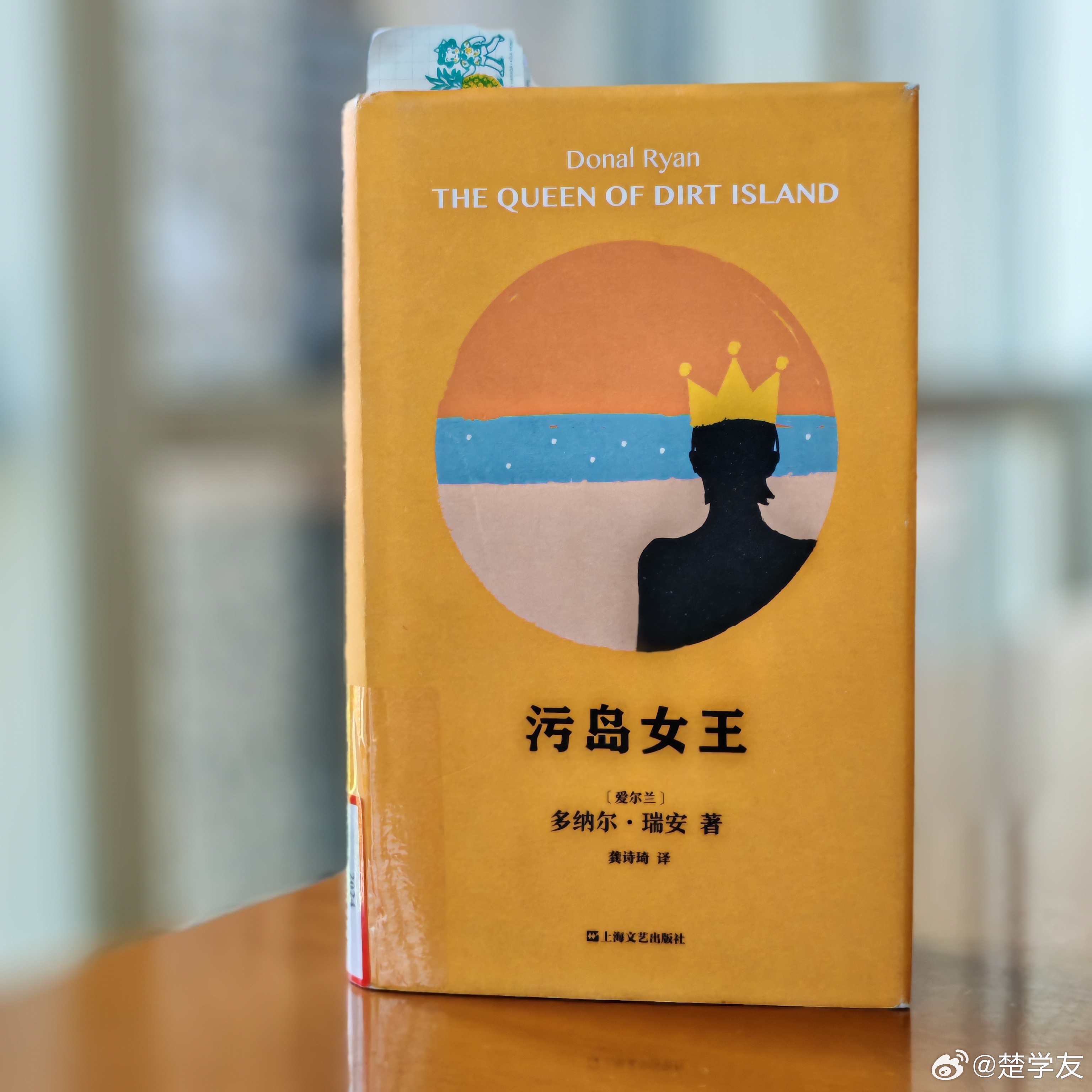 强烈推荐给每一位女性朋友一家四代的女性成长故事关于家族、女性、爱与伤害卑劣与痛苦