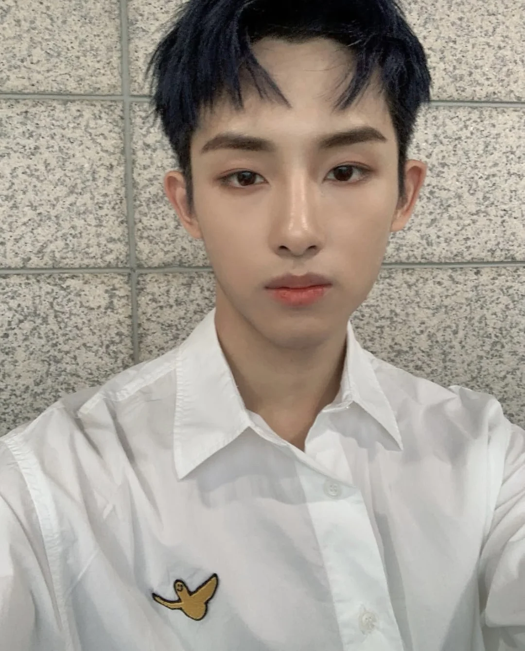 winwin