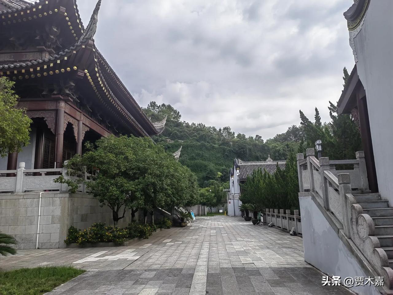 双鱼的成熟，意味着更深层次的断舍离开始了，任何和他接触的人都要收起幻想。