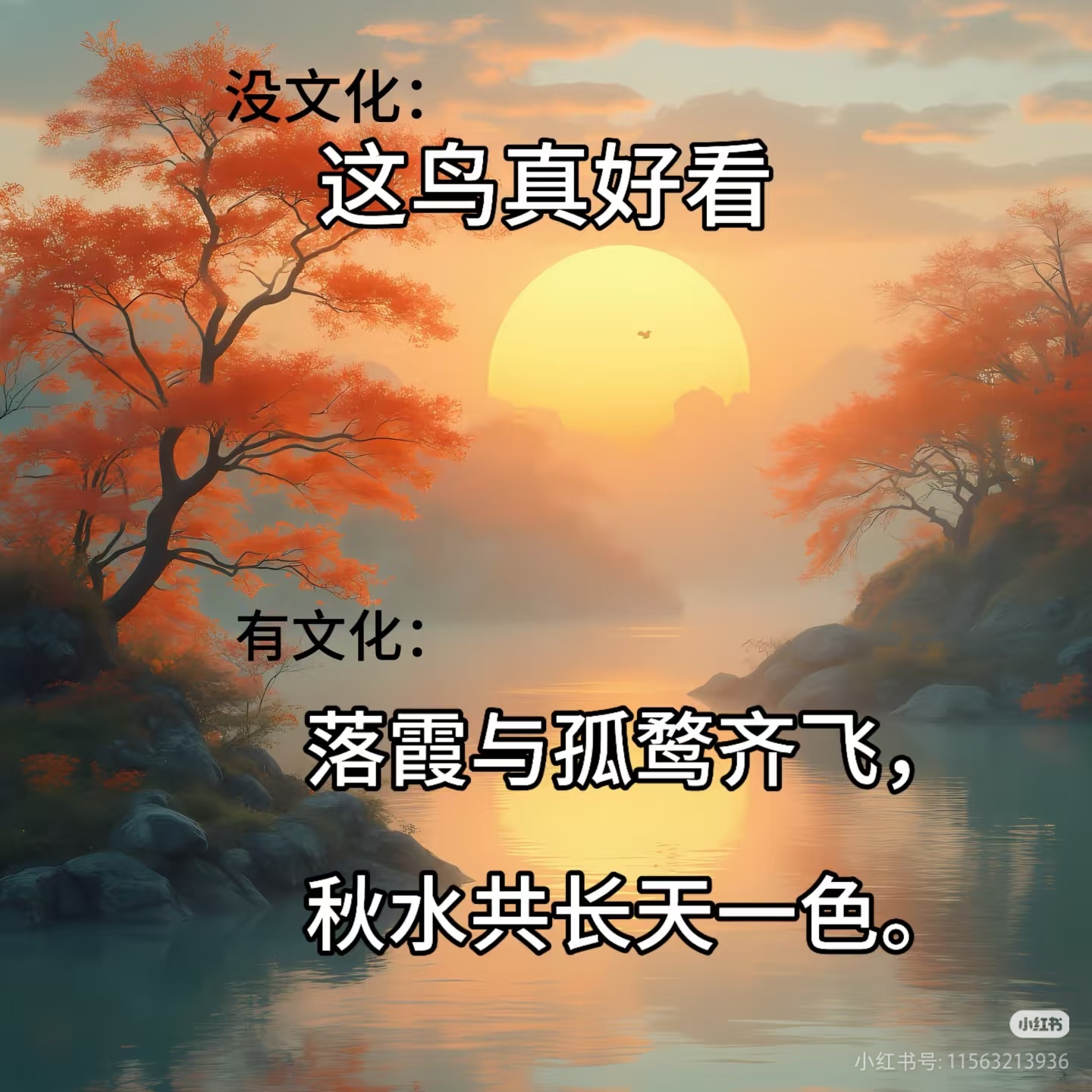 有文化的含金量具像化了同样一幅落日飞鸟美景，普通人只会感叹鸟儿好看，饱读诗书之人