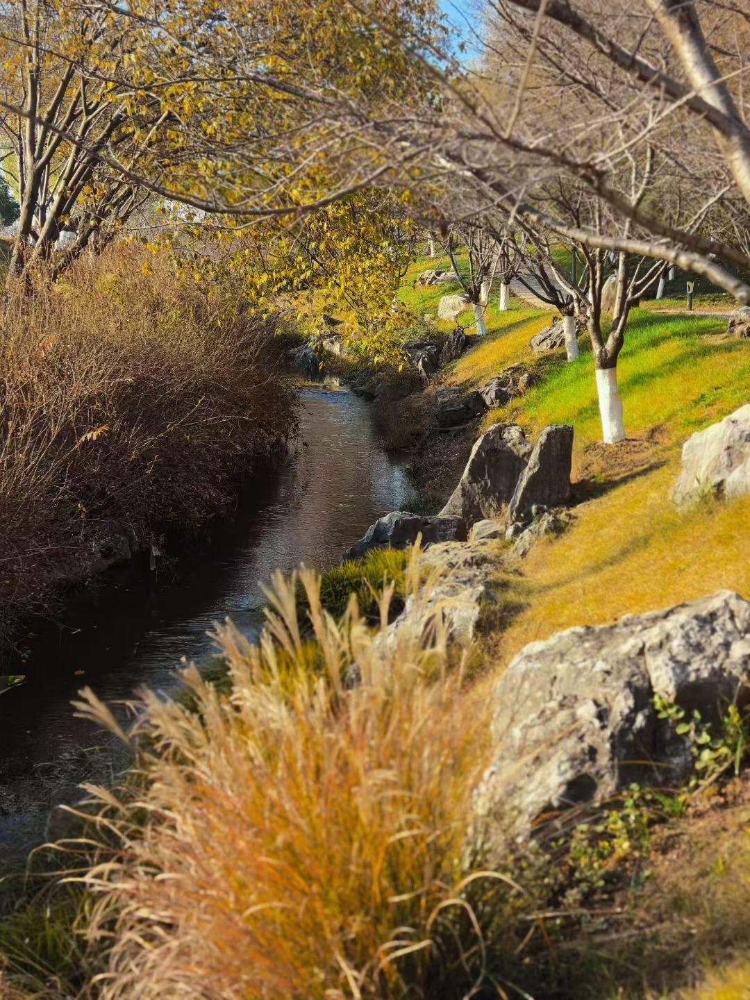 散步在南京公园