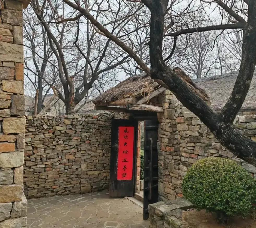 想象一下，一场战争突然降临。手头上的“宝贝”立刻成为你生存的关键。是的，这些都是
