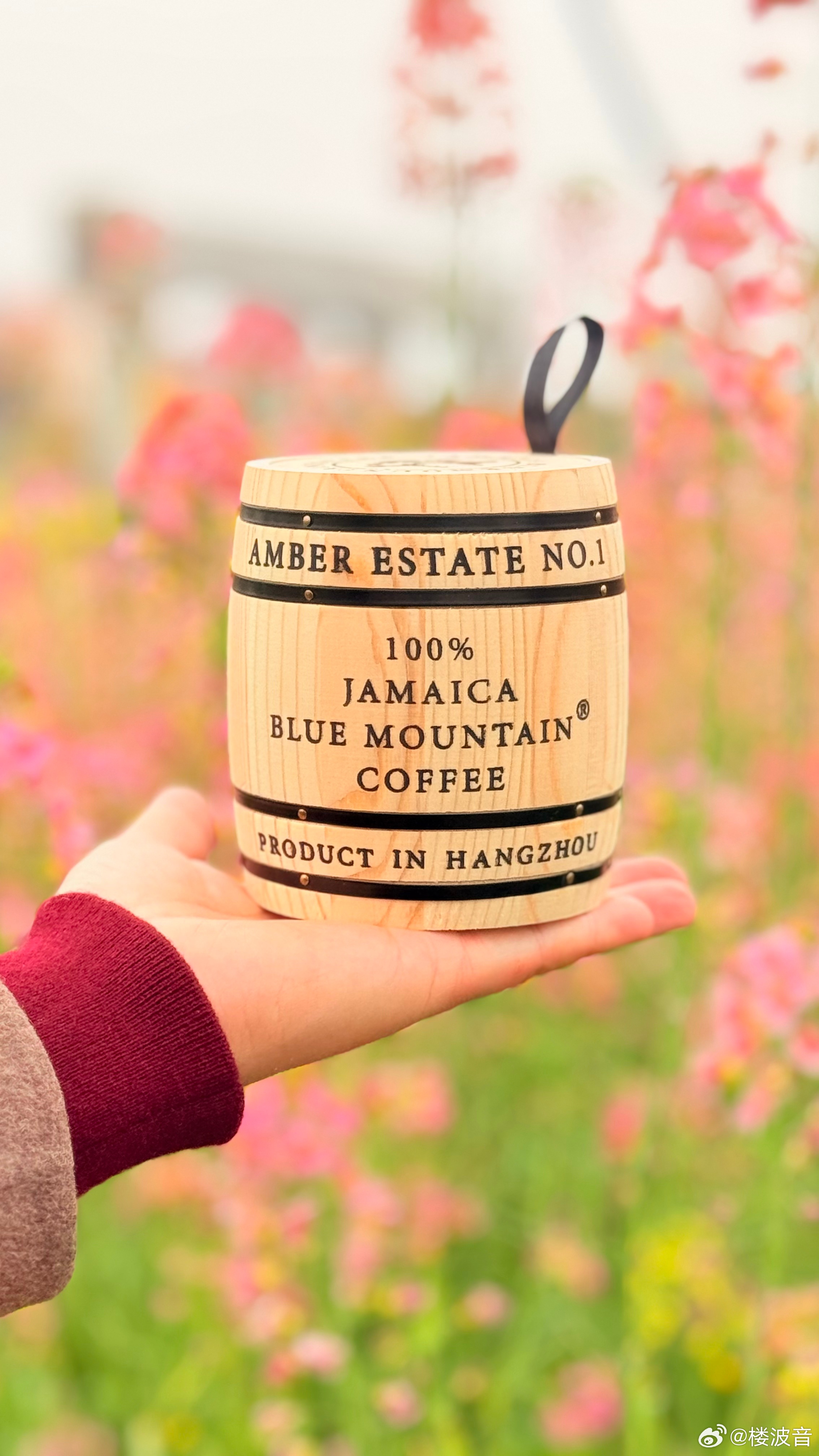 钻油菜花地里喝咖啡你们要的花香全都有彩色油菜花春天楼波音的咖啡世界咖啡产业