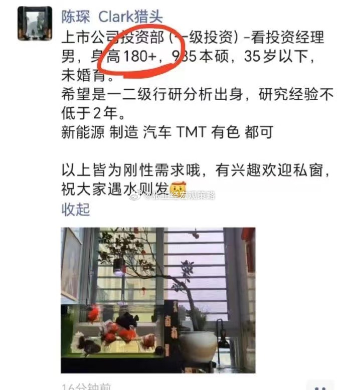 这是招聘投资经理，还是招女婿？ ​​​