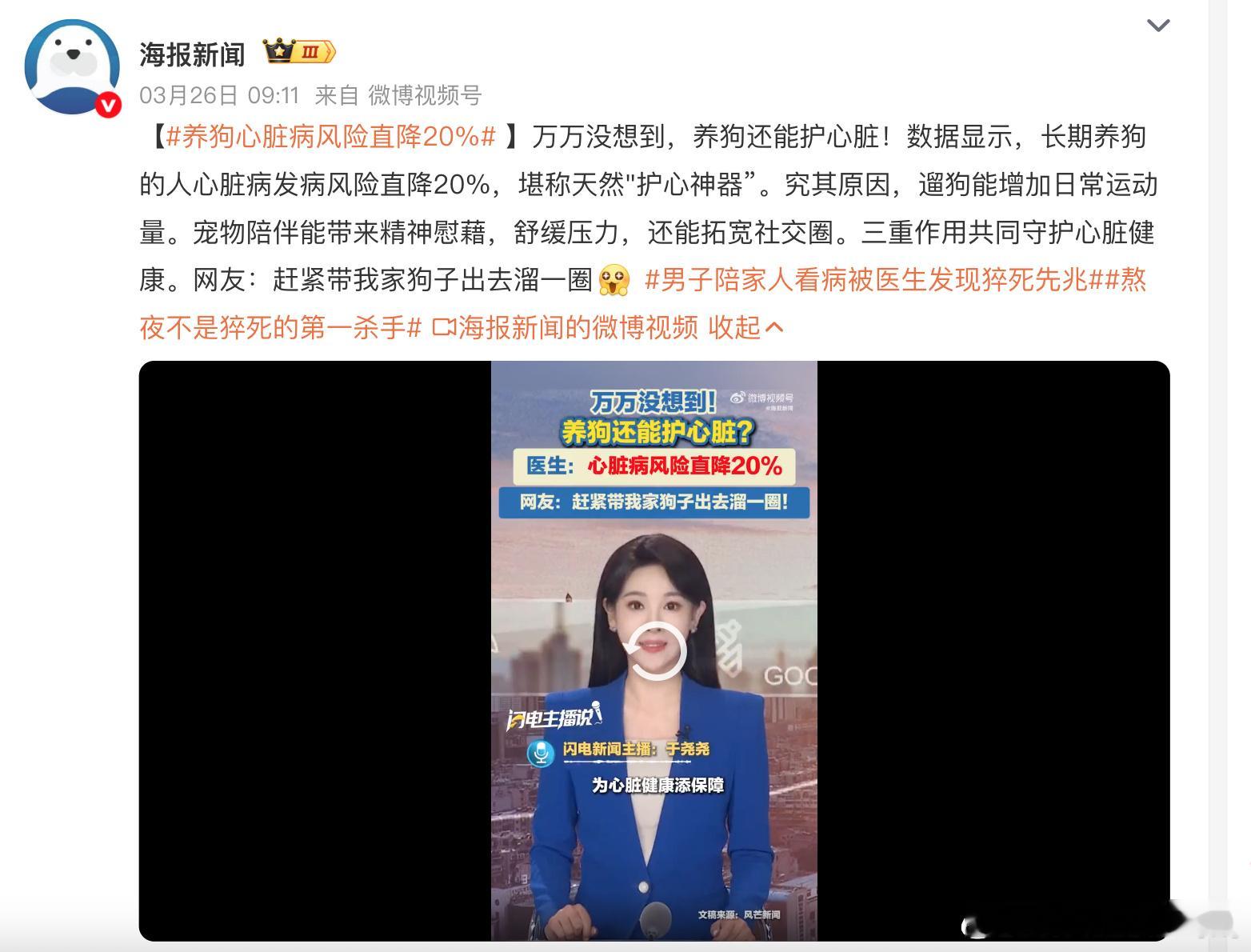 女子遛2条大狗不拴绳把人吓进医院 媒体播报：医生说养狗心脏病风险直降20% ，带