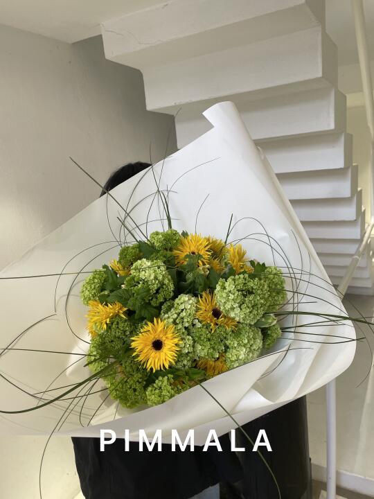 PIMMALA｜佛朗🌻