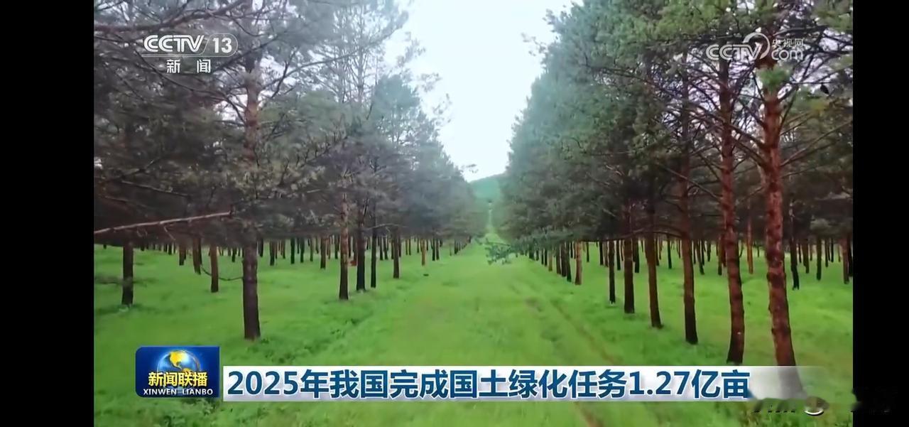 2025年我国完成国土绿化任务1.27亿亩，绿色未来，从这里开始！🌳🌱