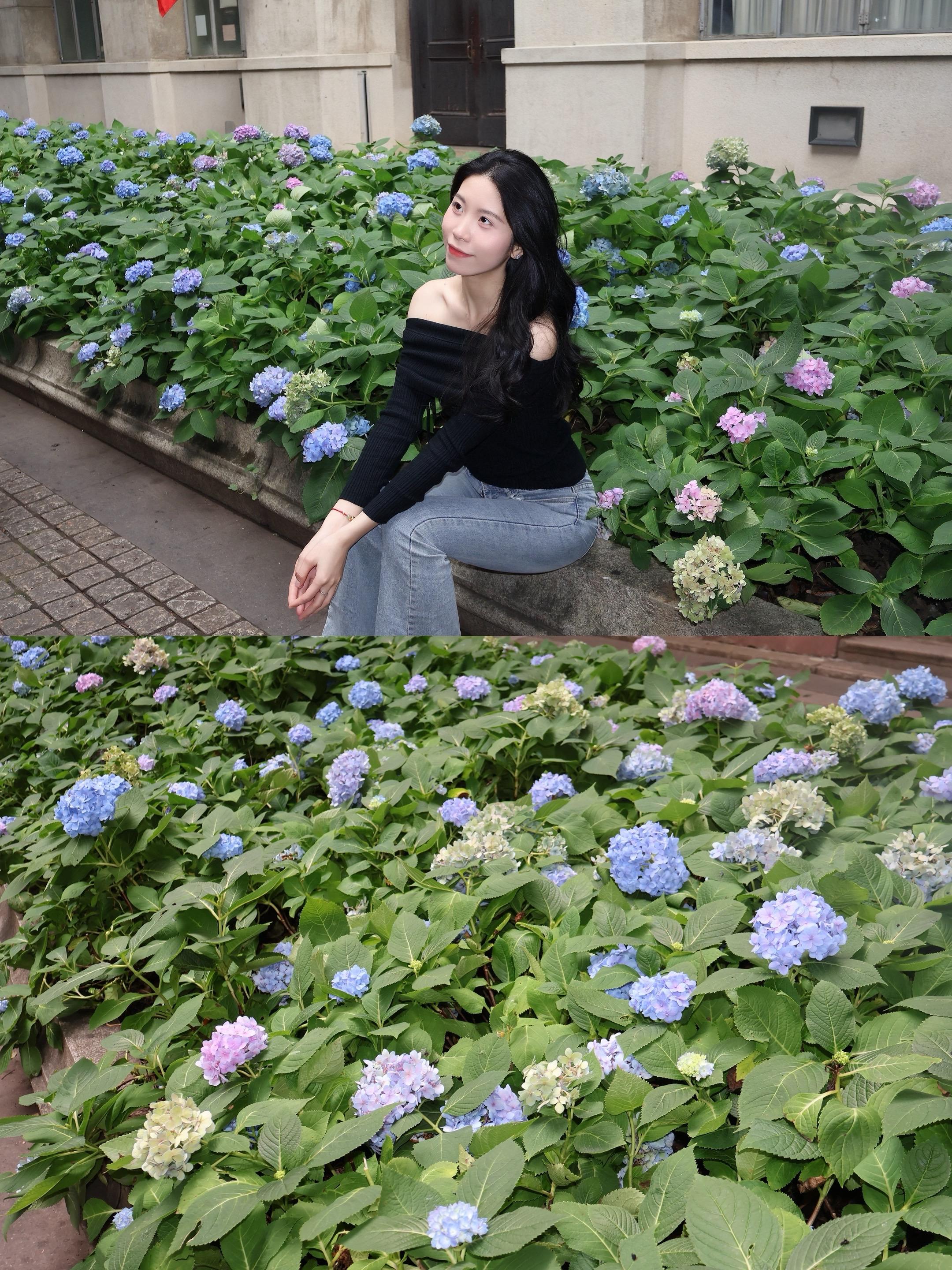 “愿你我做一个淡淡的人 见花 见树 爱细小的具体 也爱盛大的无垠”