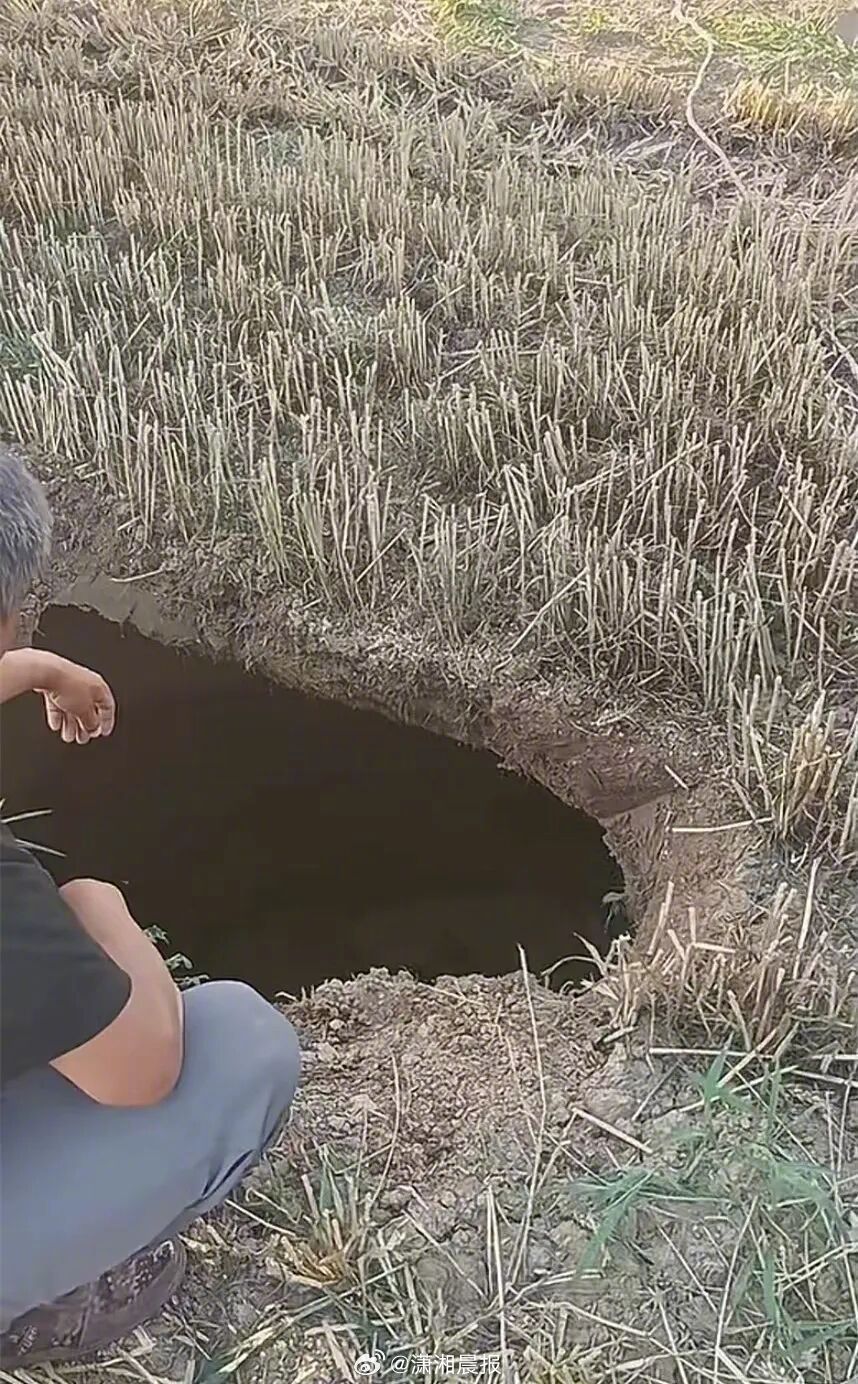 #河南一田地内现深坑网友猜测是古墓#【河南滑县一田地内现深坑，有网友猜测是古墓，