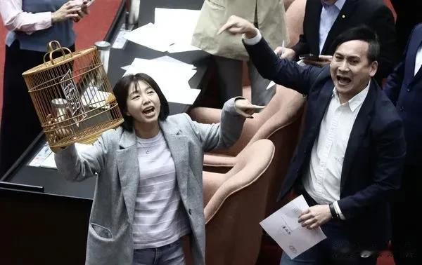 《民防法》修法二次表决大战　叶元之抢绿营鸟笼、一人舌战群丑

国民党委徐巧芯日前