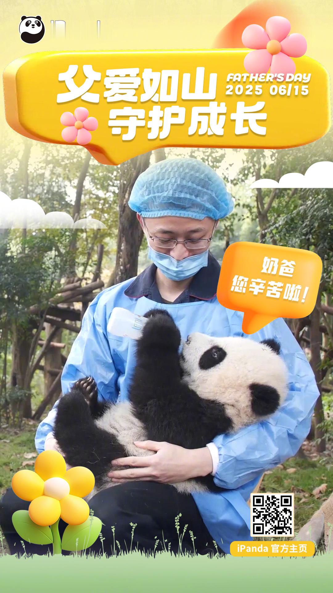 父亲节到了，小团子也来送上节日祝福[憧憬] 祝天下的爸爸们父亲节快乐！[熊猫] 